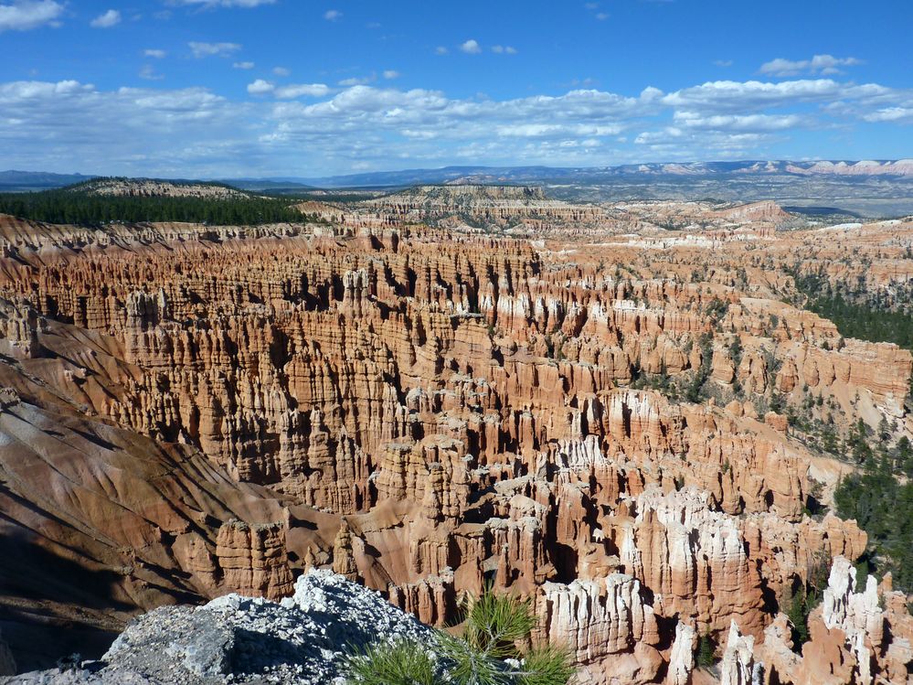 bryce canyon (191).JPG